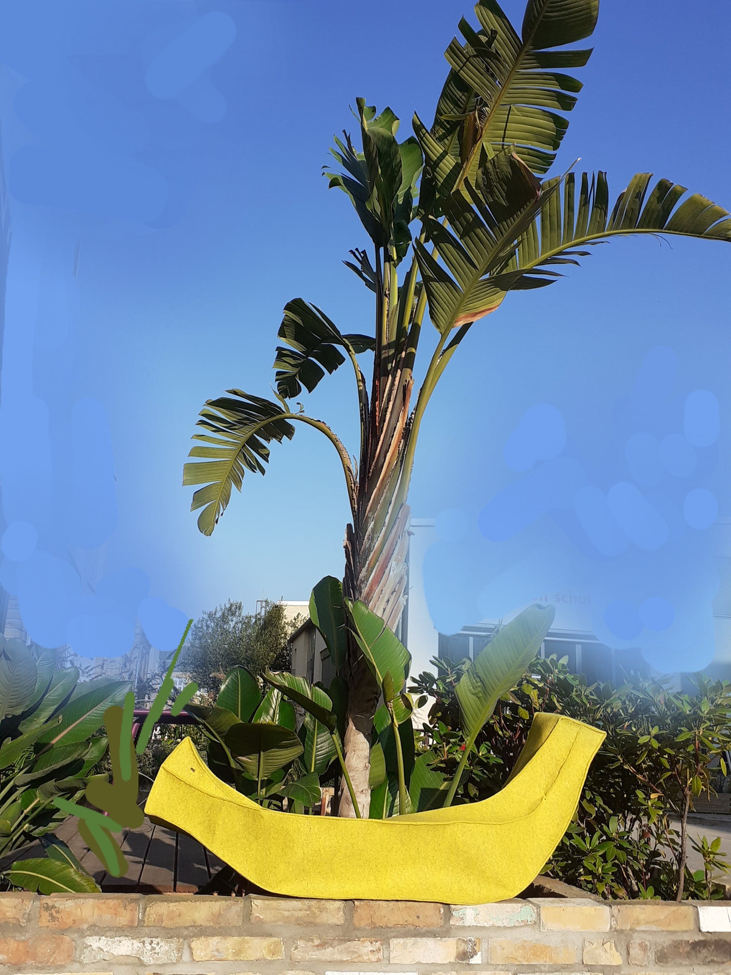 SPIELBOOT BANANA