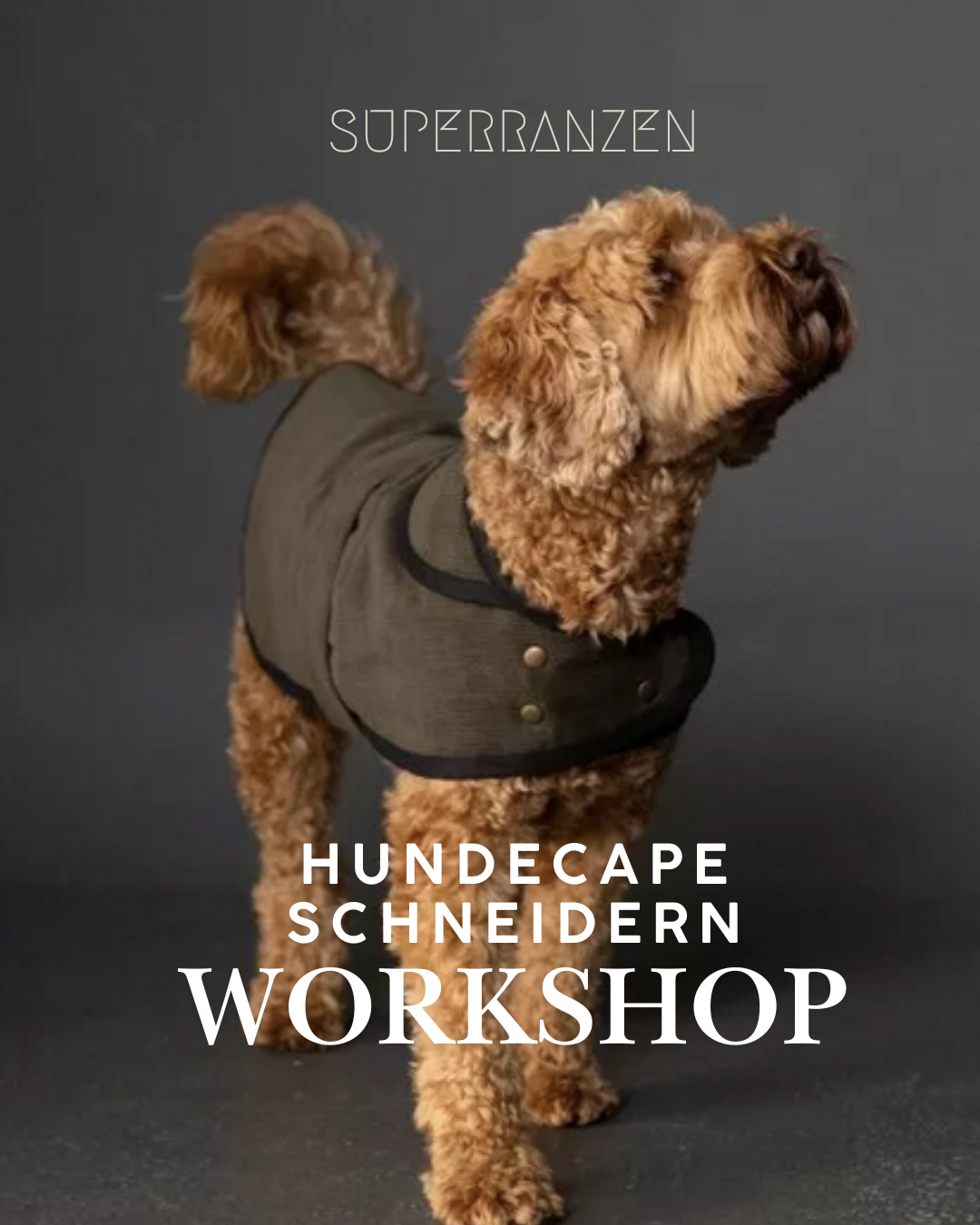 Workshop  Hunde Regen-Cape selber nähen